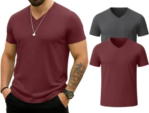 KESIHAN Men's T Shirts V Neck 2 Pack Tees Breathable Everyday Essential Casual Tops