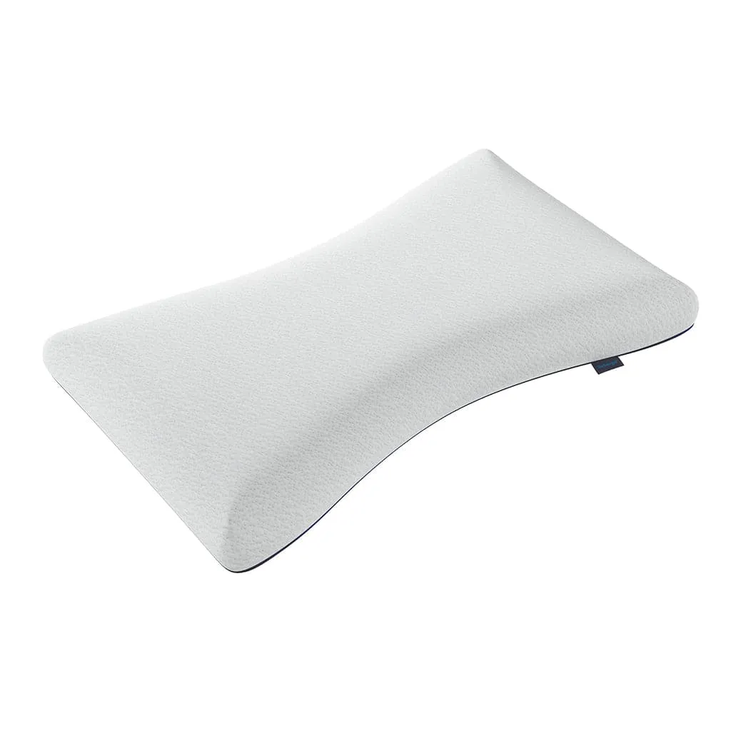 Lab Side Pillow