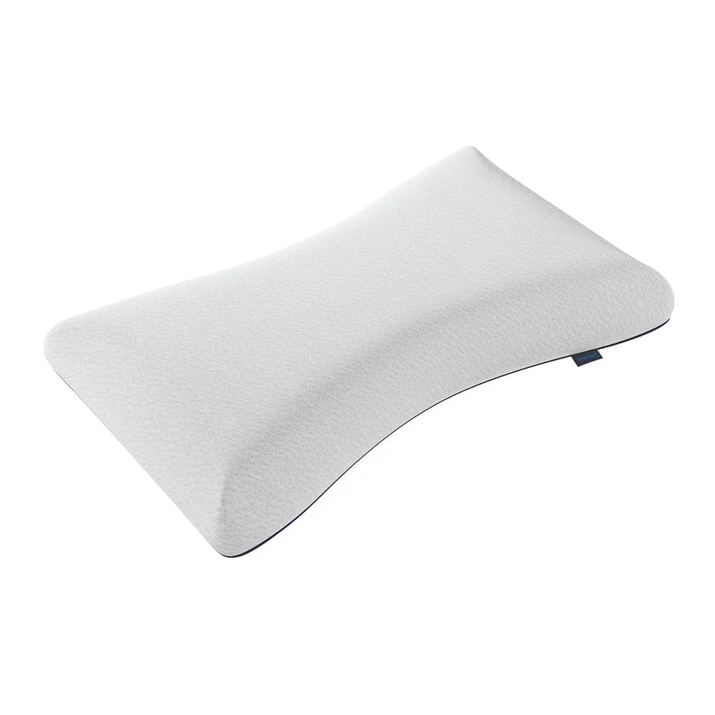 Lab Side Pillow
